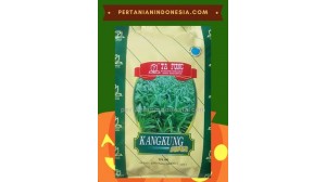 Benih Kangkung Super Ta Fung Seed