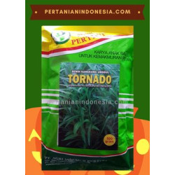 Benih Kangkung Tornado Agri Makmur Pertiwi