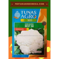 Benih Kembang Kol Best 50