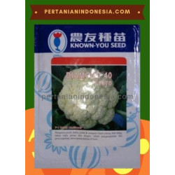 Benih Kembang Kol Diamond