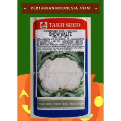 Benih Kembang Kol Snow Waltz Takii Seed
