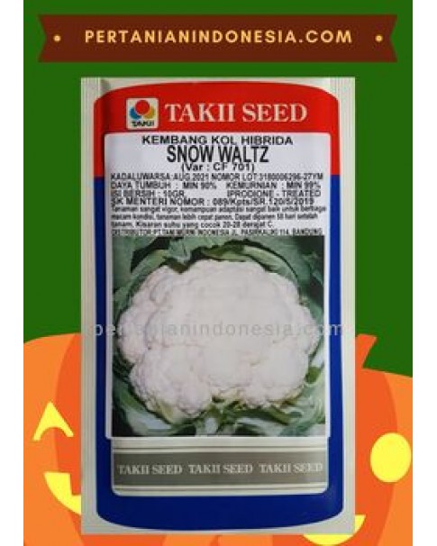 Benih Kembang Kol Snow Waltz Takii Seed