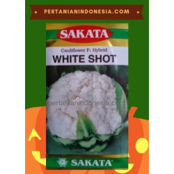 Benih Kembang Kol White Shot