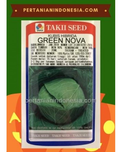 Benih Kol Green Nova