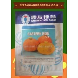 Benih Labu Eastern Rise