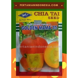 Benih Labu Golden Mama