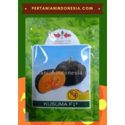 Benih Labu Kusuma