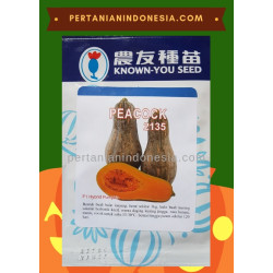 Benih Labu Peacock