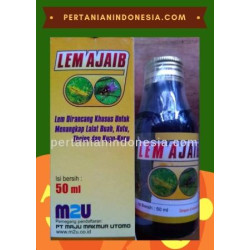 Lem Ajaib Lalat Buah