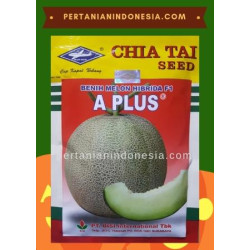 Benih Melon A Plus