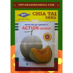 Benih Melon Action Orange