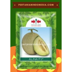Benih Melon Alina F1
