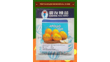 Benih Melon Golden Apollo