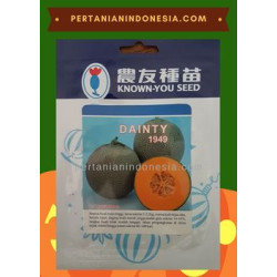 Benih Melon Dainty Known You Seed