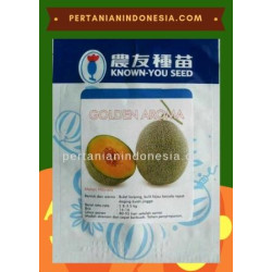 Benih Melon Golden Aroma