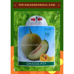 Benih Melon Gracia