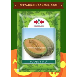 Benih Melon Hanny