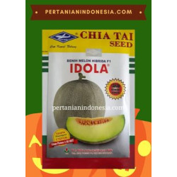 Benih Melon Idola