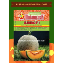 Benih Melon Jumbo