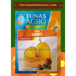 Benih Melon Kinanti