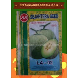 Benih Melon LA 02