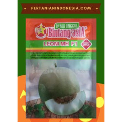 Benih Melon Leoni MH Bintang Citra Asia