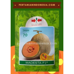 Benih Melon Madesta 400 Butir