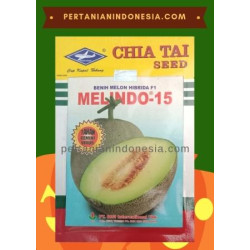 Benih Melon Melindo 15
