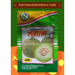 Benih Melon Pertiwi Anvi 