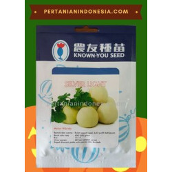 Benih Melon Apel Silver Light Known You Seed