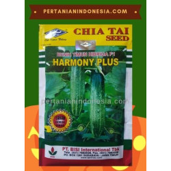 Benih Mentimun Harmony Plus
