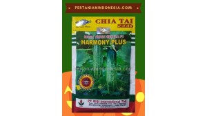 Benih Mentimun Harmony Plus
