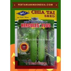 Benih Mentimun Hercules Plus