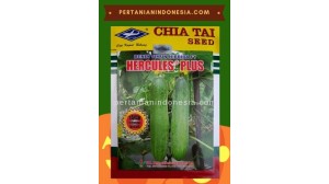 Benih Mentimun Hercules Plus