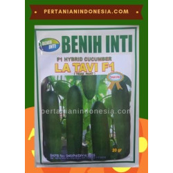 Benih Mentimun La Tavi