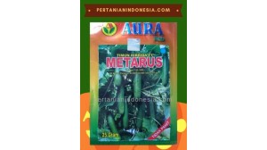 Benih Mentimun Metarus