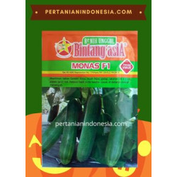 Benih Mentimun Monas