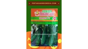 Benih Mentimun Monas