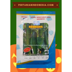Benih Mentimun Sembada