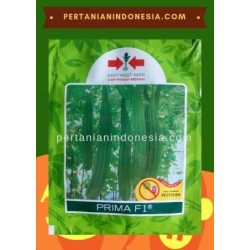 Benih Oyong Prima