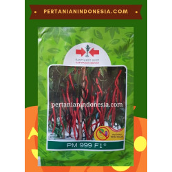 Benih Cabe PM 999 