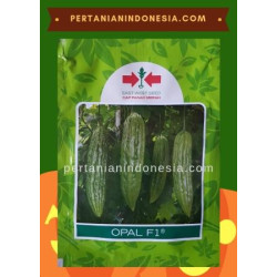 Benih Pare Opal