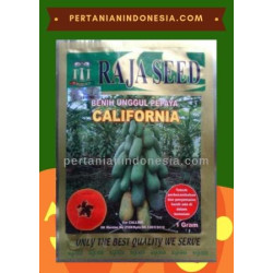 Benih Pepaya California Raja Seed