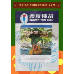 Benih Pepaya Orange Lady