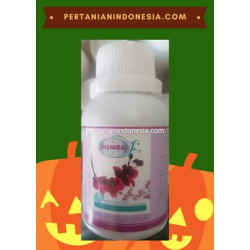 Pupuk Anggrek Namira