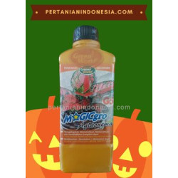Pupuk Magicgro Aglaonema G5