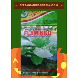 Benih Sawi Flamingo