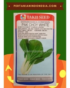  Benih Sawi Pak Choy White Takii Seed