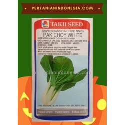  Benih Sawi Pak Choy White Takii Seed