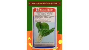  Benih Sawi Pak Choy White Takii Seed